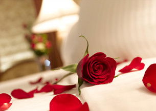 Springs Creek - Dalby Accommodation 2