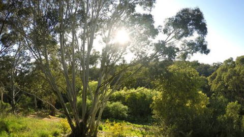 Springs Creek - Dalby Accommodation 4