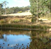 Kiah Nunyara Accommodation - Dalby Accommodation
