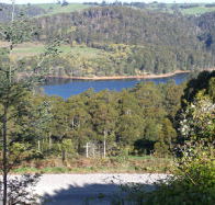 Charlyn Lodge - Dalby Accommodation