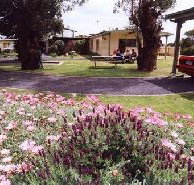 Brigadoon Holiday Units - Dalby Accommodation
