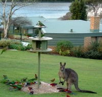 Gipsy Point Lakeside - Dalby Accommodation