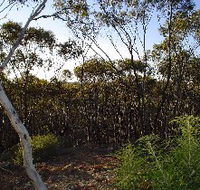 Lions Dryandra Woodlands Village - Dalby Accommodation