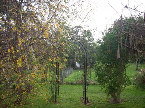 Whitelaw's Rest - Dalby Accommodation 1