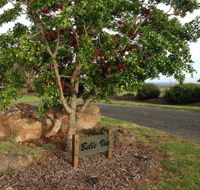 Belle Vue Studio - Dalby Accommodation