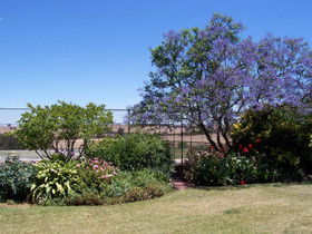 Chuckem Farm - Dalby Accommodation 0
