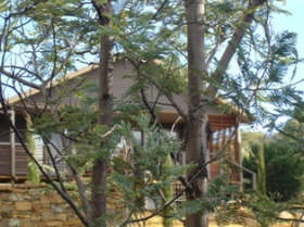 Blue Cliffs Retreat - Dalby Accommodation 0