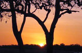 Coodardie Station Stay - Dalby Accommodation 0