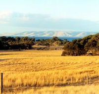The Kona - Dalby Accommodation