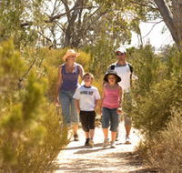 Pepper Tree Cottage - Dalby Accommodation