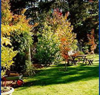 Peartree Cottage Leura - Dalby Accommodation