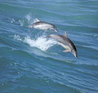 Seachange - Dalby Accommodation
