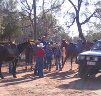 Evening Star Tourist Park - Dalby Accommodation