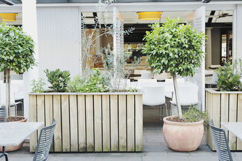 Coogee Bay Hotel - Boutique - Dalby Accommodation 73