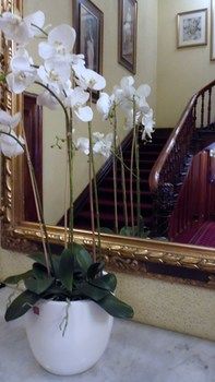 Claremont Guest House - Dalby Accommodation 9