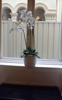 Claremont Guest House - Dalby Accommodation 10