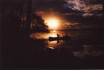 Lake Weyba Cottages Noosa - Dalby Accommodation 12