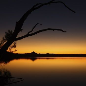 Lake Weyba Cottages Noosa - Dalby Accommodation 26