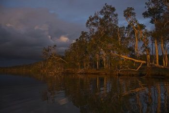 Lake Weyba Cottages Noosa - Dalby Accommodation 27