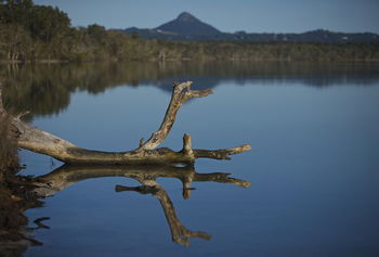 Lake Weyba Cottages Noosa - Dalby Accommodation 28