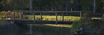 Lake Weyba Cottages Noosa - Dalby Accommodation 34