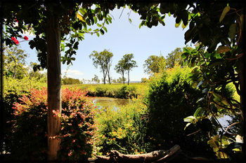 Lake Weyba Cottages Noosa - Dalby Accommodation 36