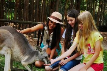 Pacific Horizons Resort - Dalby Accommodation 23