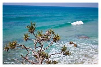 Pacific Horizons Resort - Dalby Accommodation 24