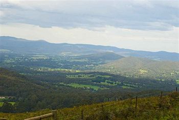 Hill 'N' Dale Farm Cottages - Dalby Accommodation 14