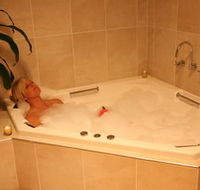 Lavender House BampB - Dalby Accommodation