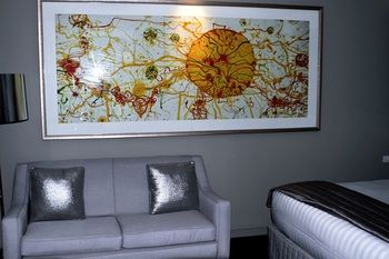 Art Series - The Olsen - Dalby Accommodation 44