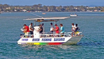 Sunset Cove Noosa - Dalby Accommodation 21