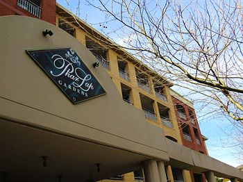 Waldorf Randwick Serviced Apartments - Dalby Accommodation 5
