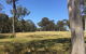 Worrowing At Jervis Bay - thumb 81