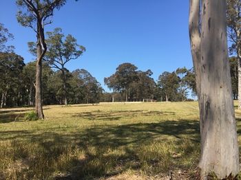 Worrowing At Jervis Bay - Dalby Accommodation 81