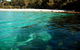 Worrowing At Jervis Bay - thumb 98