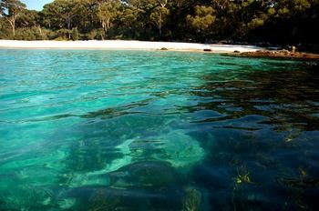 Worrowing At Jervis Bay - Dalby Accommodation 98