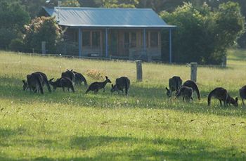 Worrowing At Jervis Bay - Dalby Accommodation 31