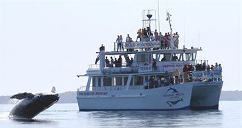 Worrowing At Jervis Bay - Dalby Accommodation 32