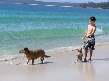 Paradise Bungalow - Dalby Accommodation 19