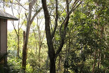 Arabella Guesthouse - Dalby Accommodation 18