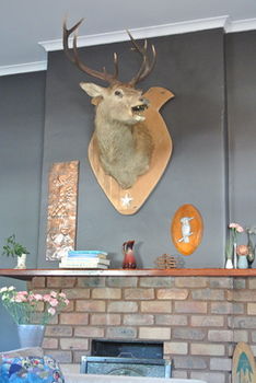 Vine Valley Inn - Dalby Accommodation 49