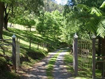 Brentwood Accommodation - Dalby Accommodation 1