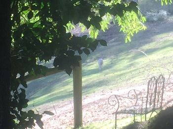 Brentwood Accommodation - Dalby Accommodation 35