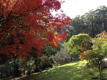 Brentwood Accommodation - Dalby Accommodation 43