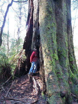 Brentwood Accommodation - Dalby Accommodation 56