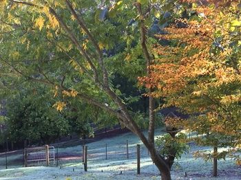 Brentwood Accommodation - Dalby Accommodation 64