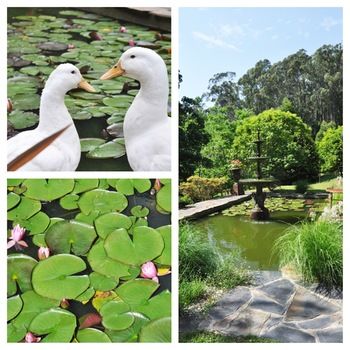 Brentwood Accommodation - Dalby Accommodation 65