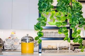 Ibis Budget Sydney East - Dalby Accommodation 29