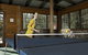 Eagleview Resort - thumb 1